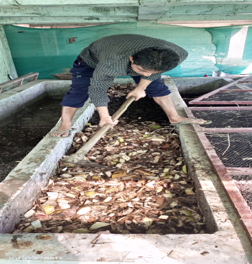 Vermicomposting step 2