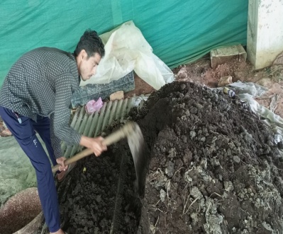 Vermicomposting step 3