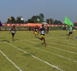 XI inter college Athletic Meet 2016 organised by Department of Physical Education and Tripura University Sports Board