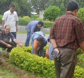 Swach Bharat Abhiyan at DDE TU on 26th June 2015