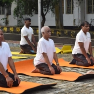International Day of Yoga 2026