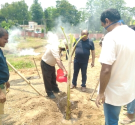 Planting banana tree in T.U. Campus