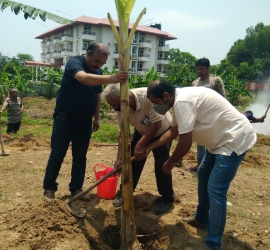 Planting banana tree in T.U. Campus