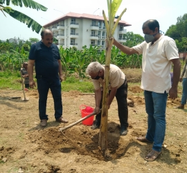 Planting banana tree in T.U. Campus