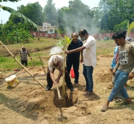 Planting banana tree in T.U. Campus