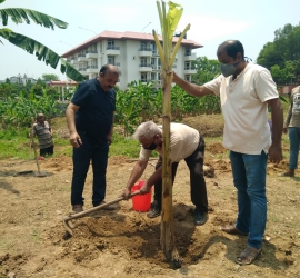 Planting banana tree in T.U. Campus