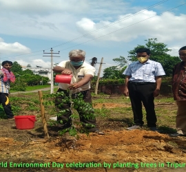 5th June, 2020. World Environment Day celebration by planting trees in T.U. Campus