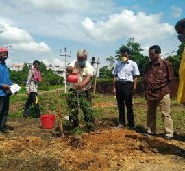 5th June, 2020. World Environment Day celebration by planting trees in T.U. Campus