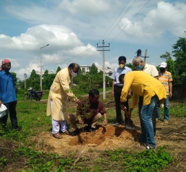 5th June, 2020. World Environment Day celebration by planting trees in T.U. Campus