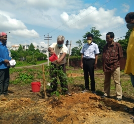 5th June, 2020. World Environment Day celebration by planting trees in T.U. Campus