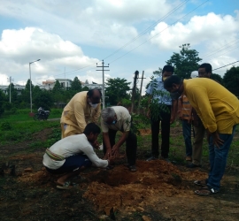 5th June, 2020. World Environment Day celebration by planting trees in T.U. Campus