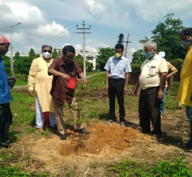 5th June, 2020. World Environment Day celebration by planting trees in T.U. Campus