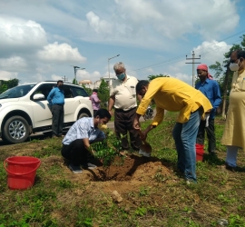 5th June, 2020. World Environment Day celebration by planting trees in T.U. Campus