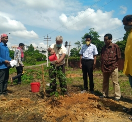 5th June, 2020. World Environment Day celebration by planting trees in T.U. Campus