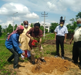 5th June, 2020. World Environment Day celebration by planting trees in T.U. Campus