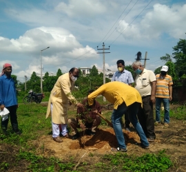 5th June, 2020. World Environment Day celebration by planting trees in T.U. Campus